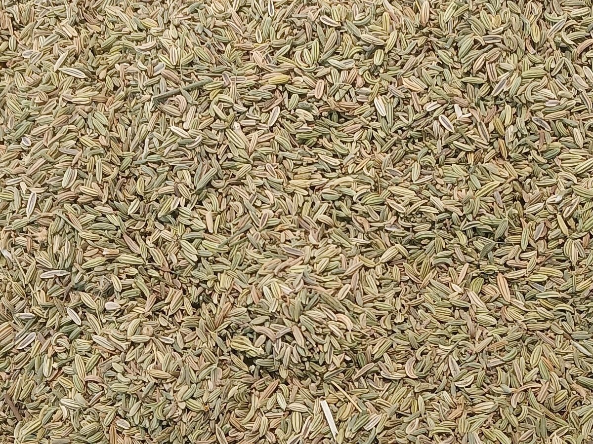 Whole cumin seeds in close-up — supplied by KPRS Foods